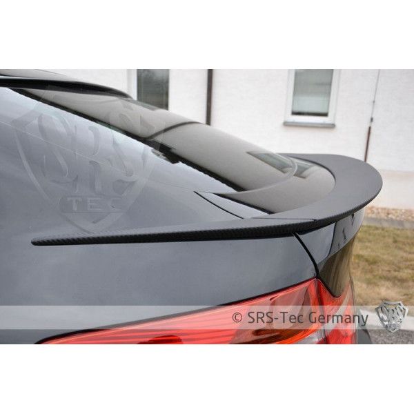 Спойлер SRS-Tec для BMW X6 (E71)
